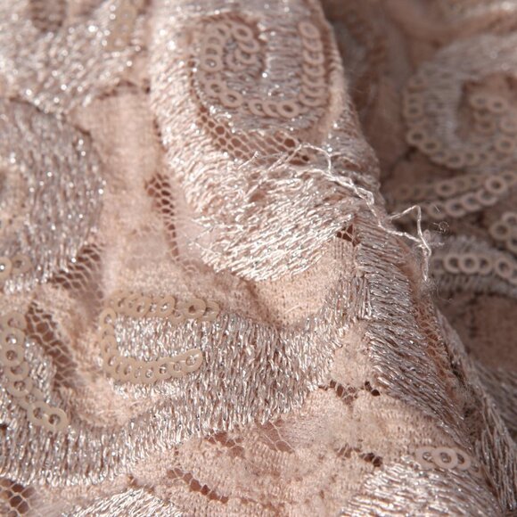 Adrianna Papell Lace Sequin Evening Dress Fit Flare Sleeveless Pink Nude - Picture 10 of 13